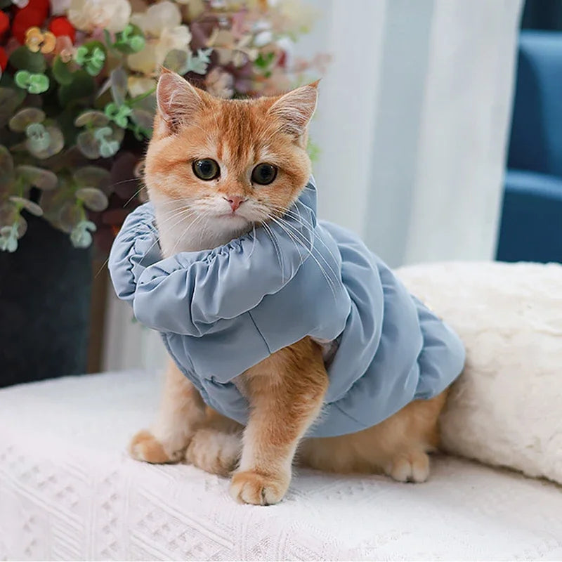 ChillyPaws Cozy Coat