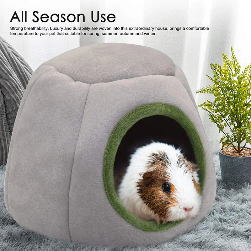 Little Paws Retreat