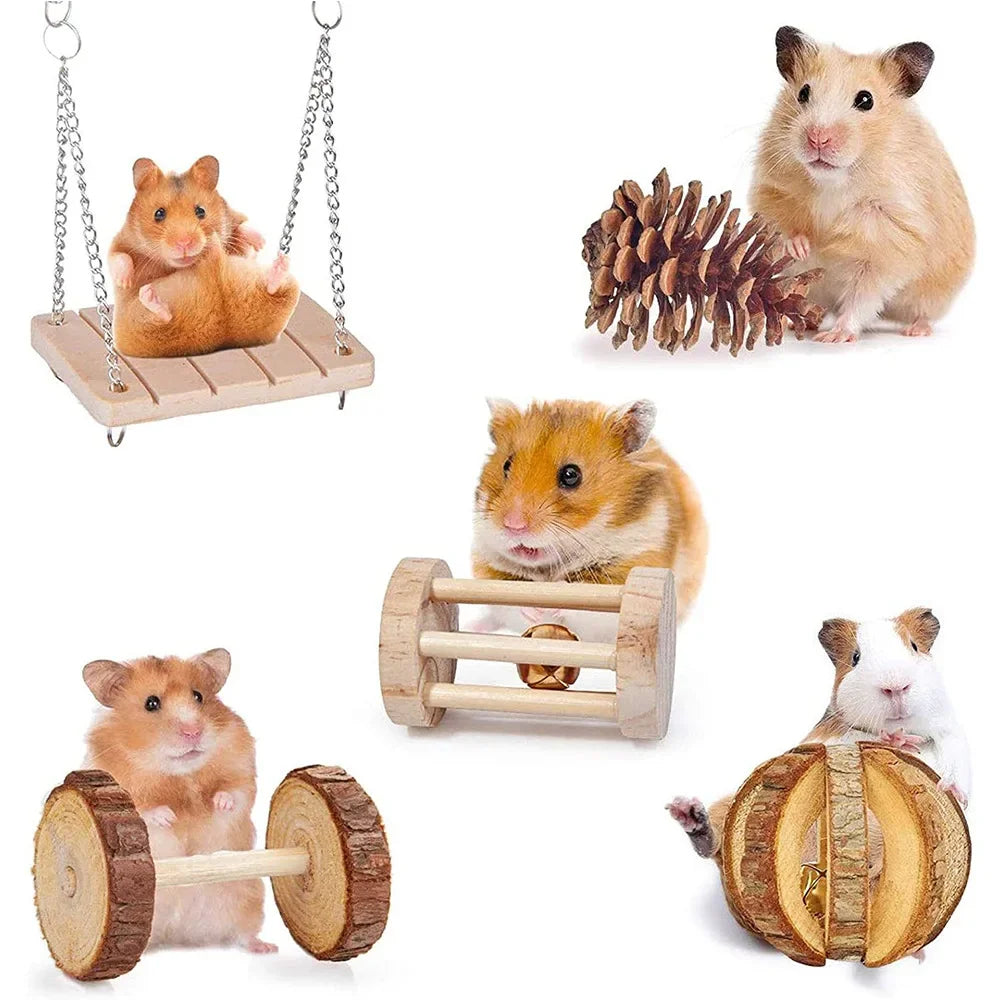 TinyPaws Playland