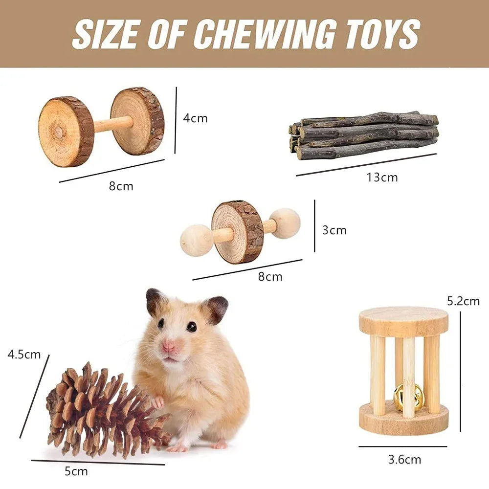 TinyPaws Playland