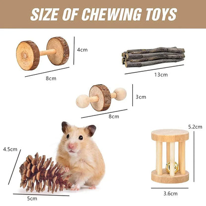 TinyPaws Playland