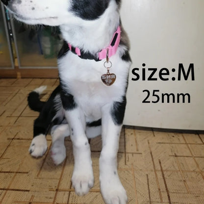 Pawticular Heart Tag