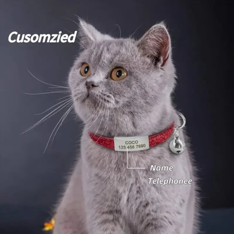 PawPrint Guardian Collar