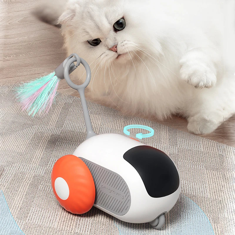 CatZoom Turbo Play