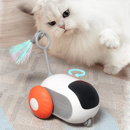 CatZoom Turbo Play