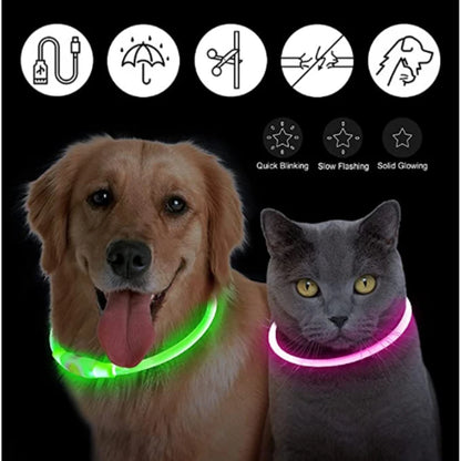 GlowPaw Night Shield