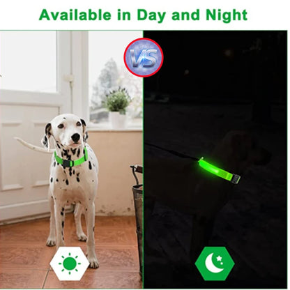 GlowPaw Night Shield