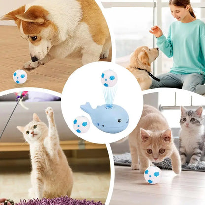 Interactive Floating Ball Cat Toy – Whale-Themed Indoor Fun