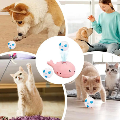 Interactive Floating Ball Cat Toy – Whale-Themed Indoor Fun