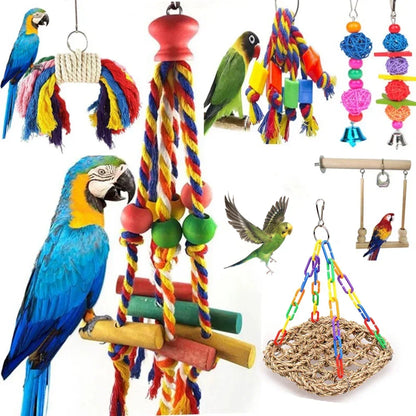 Chew & Swing Paradise – Interactive Bird Toy