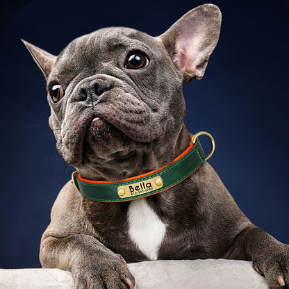 PawLuxe Signature Collar