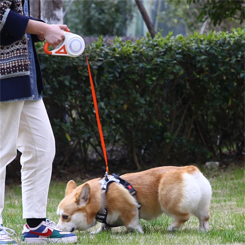 PawFlex Light Leash