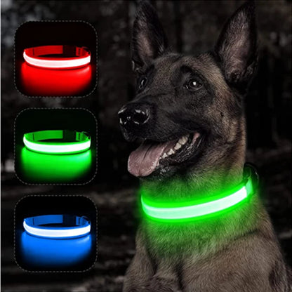 GlowPaw Night Shield