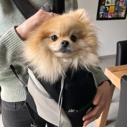 Double Shoulder Pet Carrier Backpack