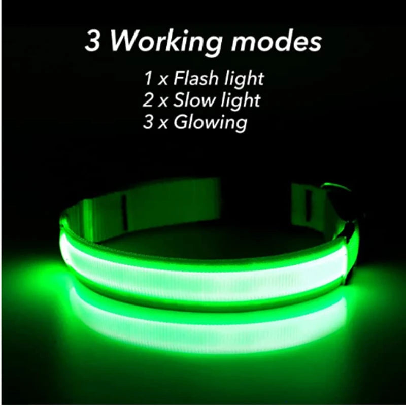 GlowPaw Night Shield